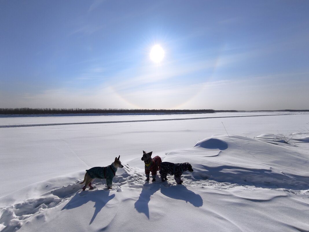 Весна - Anna Ivanova