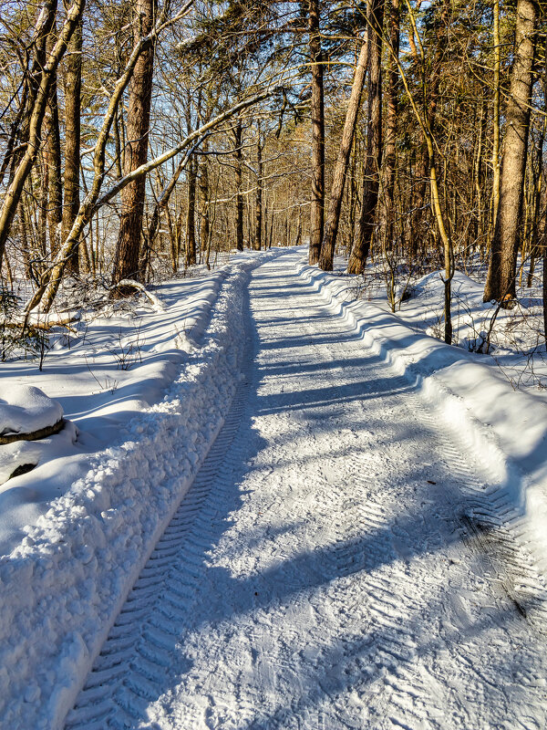 Хороший денек для прогулок. - Игорь Викторов