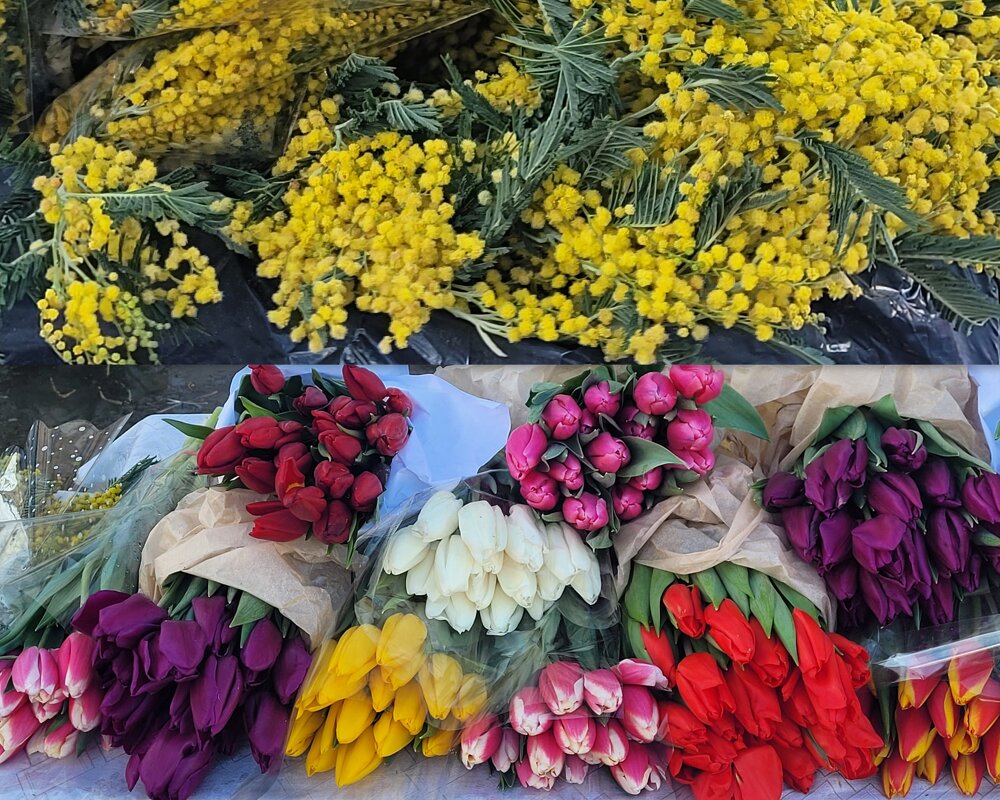 Весенний фейвер - Татьяна Машошина