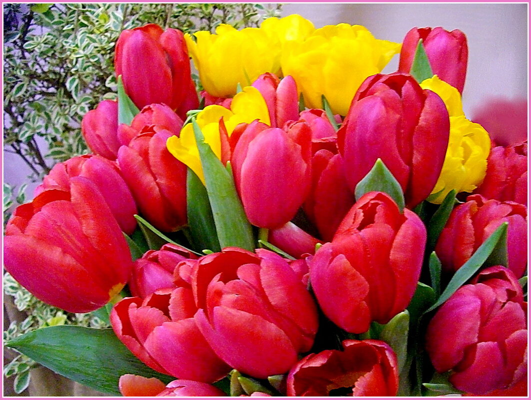 С Женским днём 8 марта! - Лия ☼ С Женским днём 8 марта! - Лия ☼