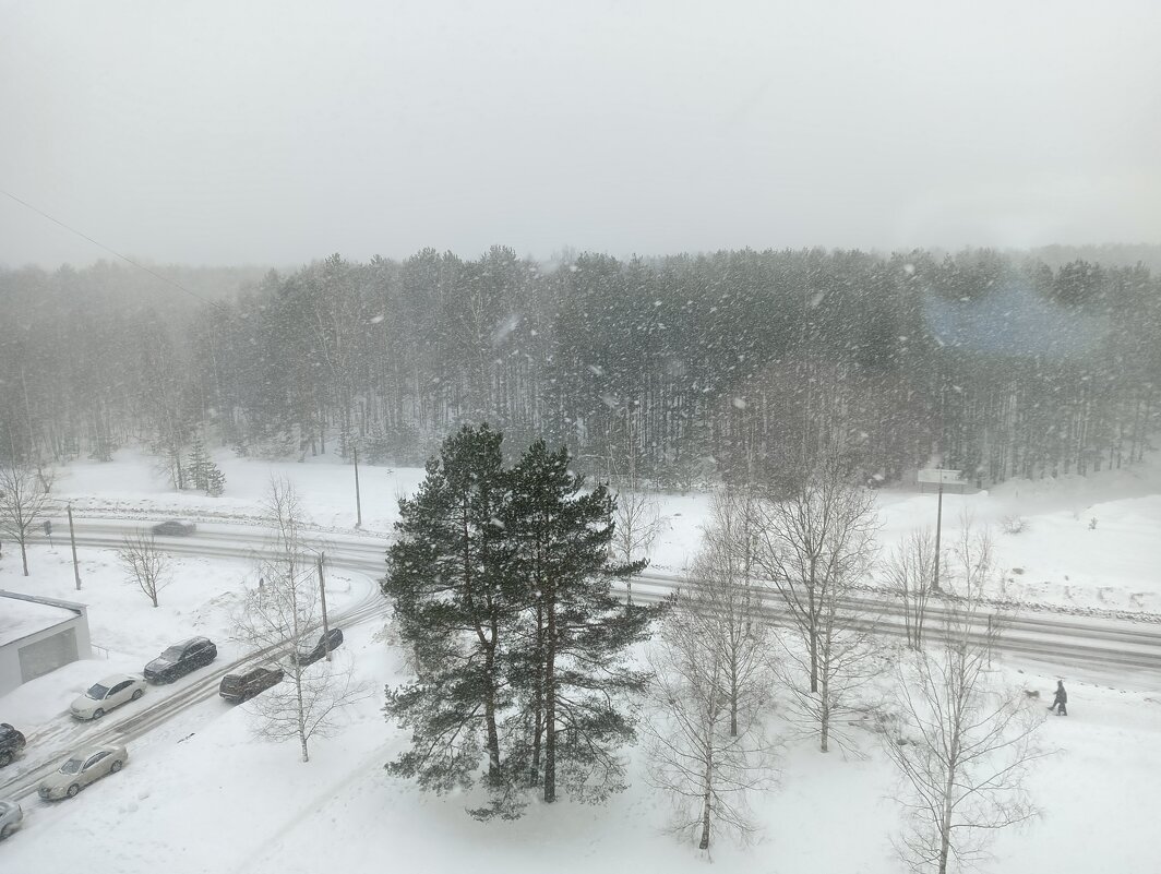 и снова весенняя метель - Владимир 