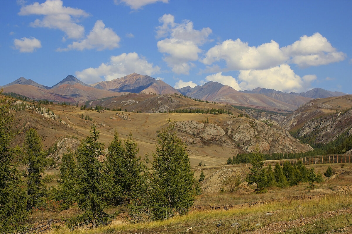 Ландшафты горного алтая - елена беликова