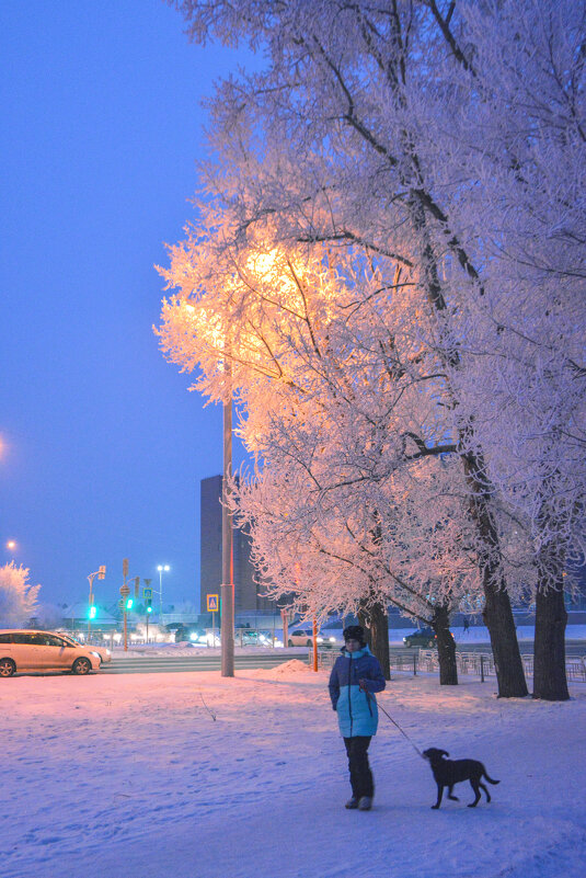 Вечерняя прогулка. - юрий Амосов