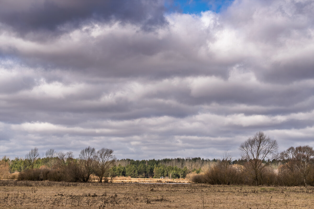 Ранняя весна - Игорь Сикорский Ранняя весна - Игорь Сикорский
