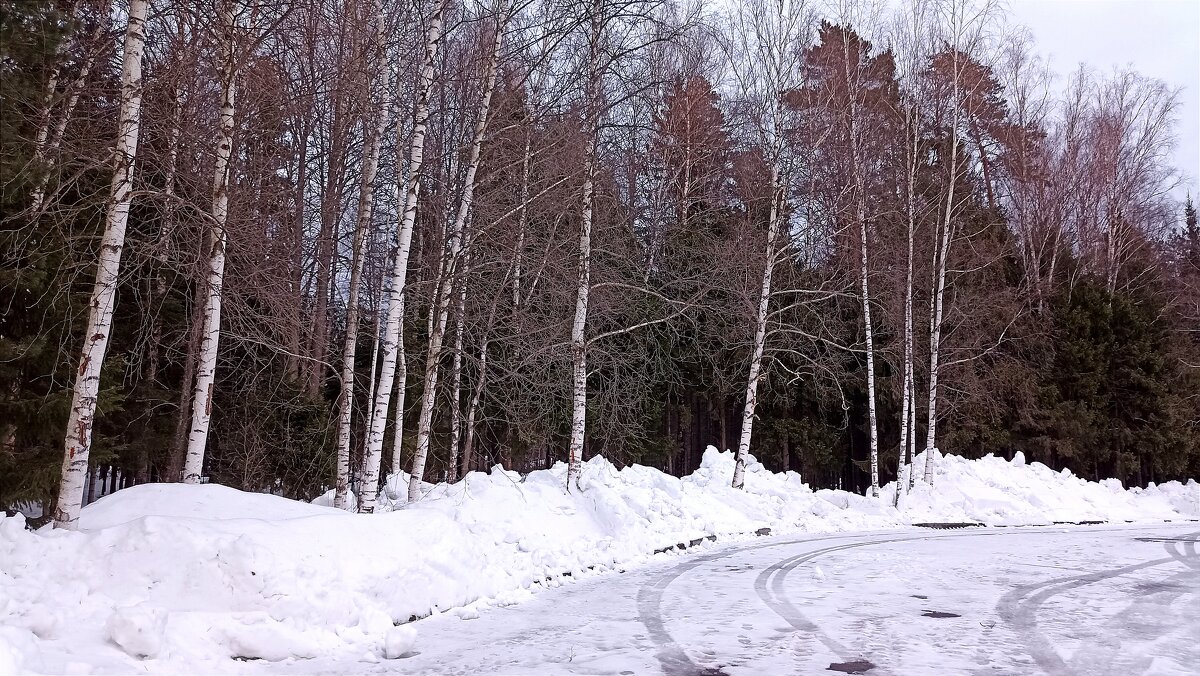 Март - Татьяна Тюменка Март - Татьяна Тюменка