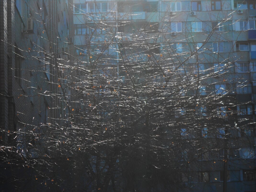 март - Елена Шаламова март - Елена Шаламова