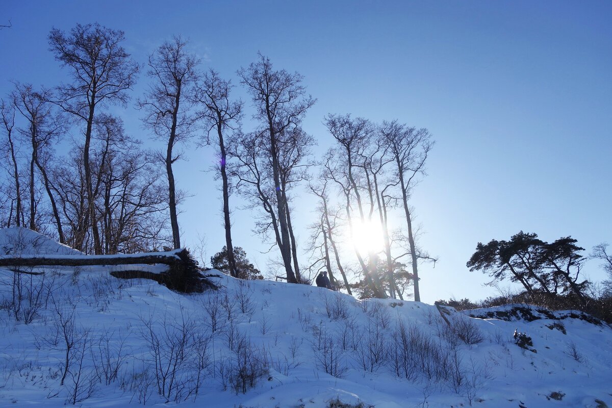 Февраль, Побережье Балтийского моря, Калининградская область - Рита Симонова Февраль, Побережье Балтийского моря, Калининградская область - Рита Симонова