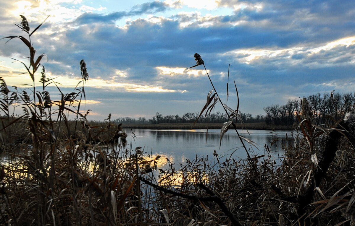 Утро. - Владимир Утро. - Владимир