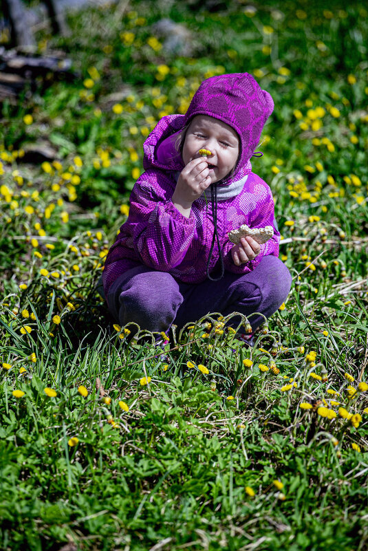 Весенние радости - Александр Силинский Весенние радости - Александр Силинский