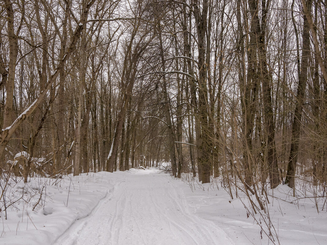 ___ - Yuriy V ___ - Yuriy V