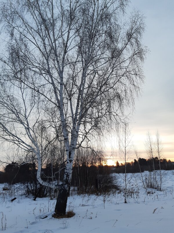 Рассветы - Галина Минчук