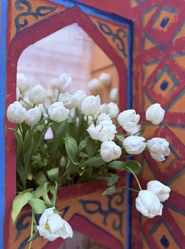 Белое тюльпановое облако) - Любовь Белое тюльпановое облако) - Любовь