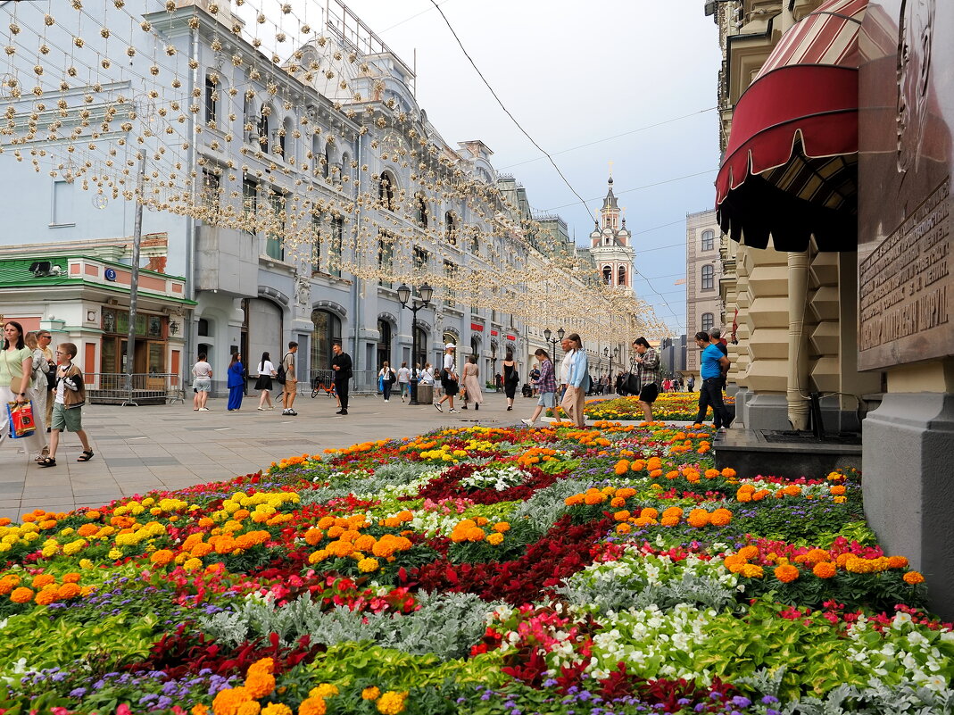 Цветочные ковры Москвы. - Евгений Седов Цветочные ковры Москвы. - Евгений Седов