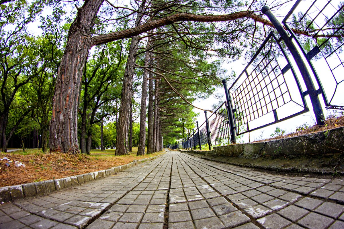 Дорожка - Александр Дорожка - Александр