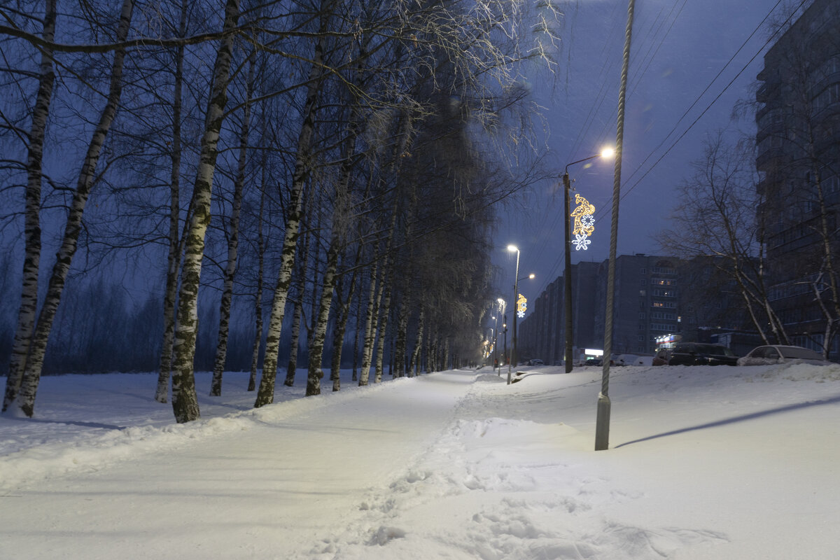 Аллея вснегу - Александр Буторин Аллея вснегу - Александр Буторин