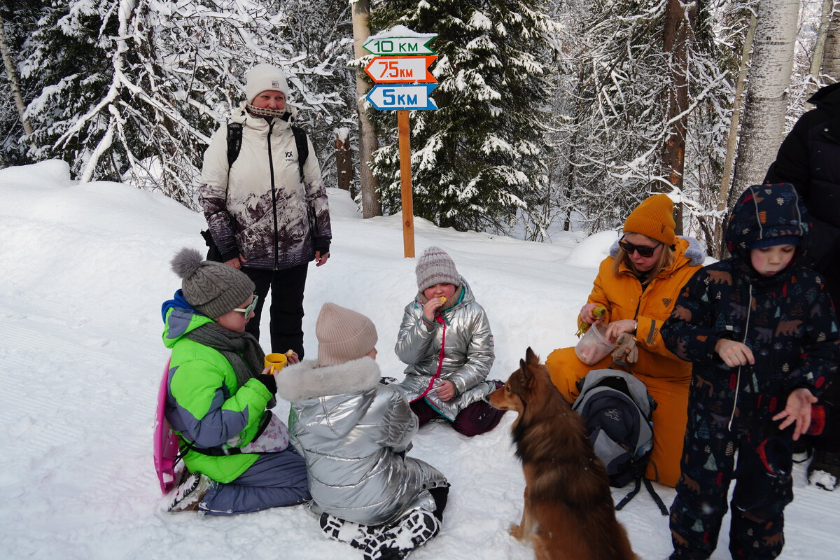 Перекус на трассе - Павел Трунцев