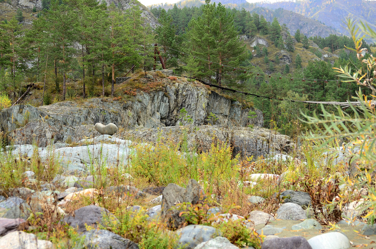 На берегу Катуни - Мишель71 