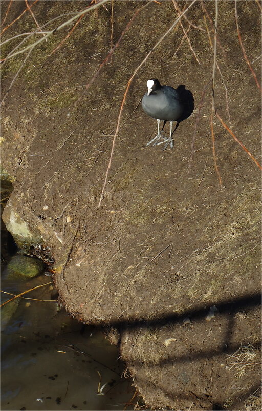 постою, помолчу - sv.kaschuk 