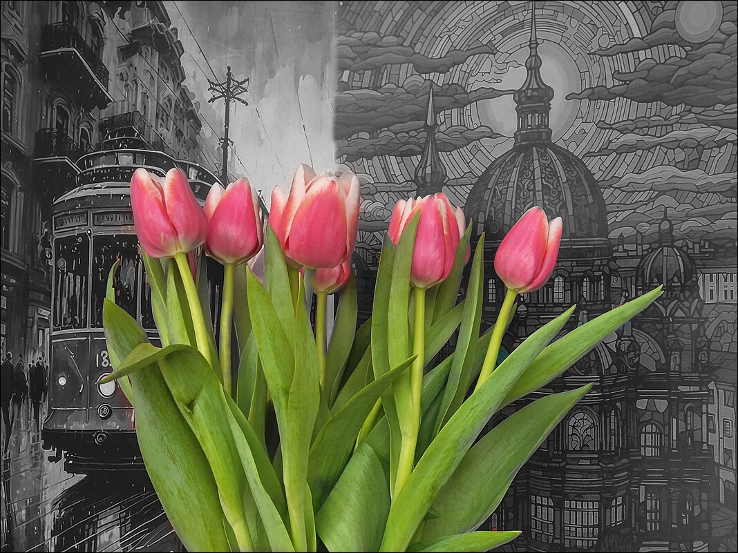 Тюльпаны 8 марта - Татьяна Машошина