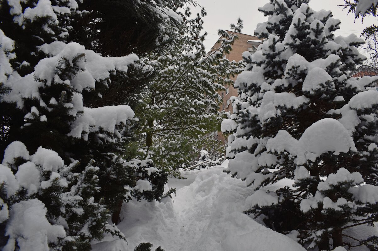 Под снежным покровом зимы таится нежность весны. - Татьяна Помогалова