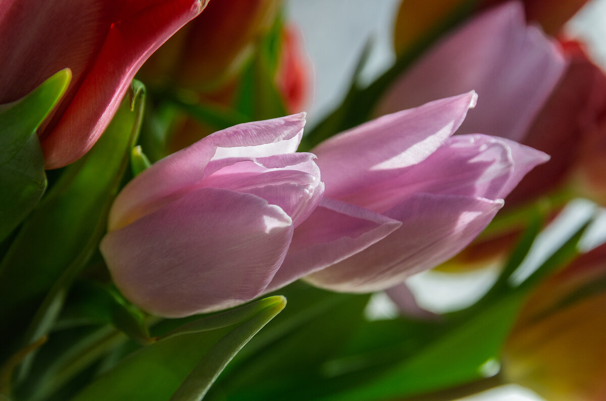 *** - Виктор Иванович Чернюк