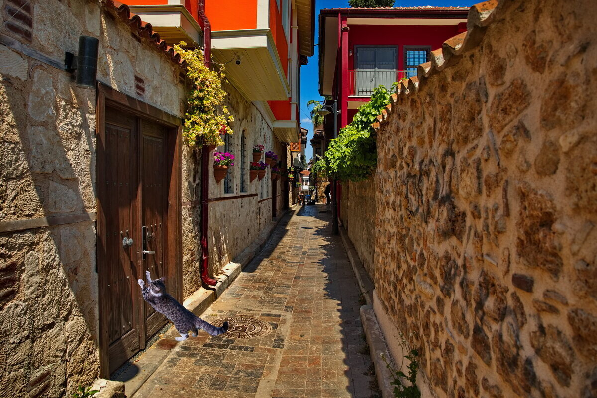 Жаркая страна. Сиеста... - Игорь Питерский