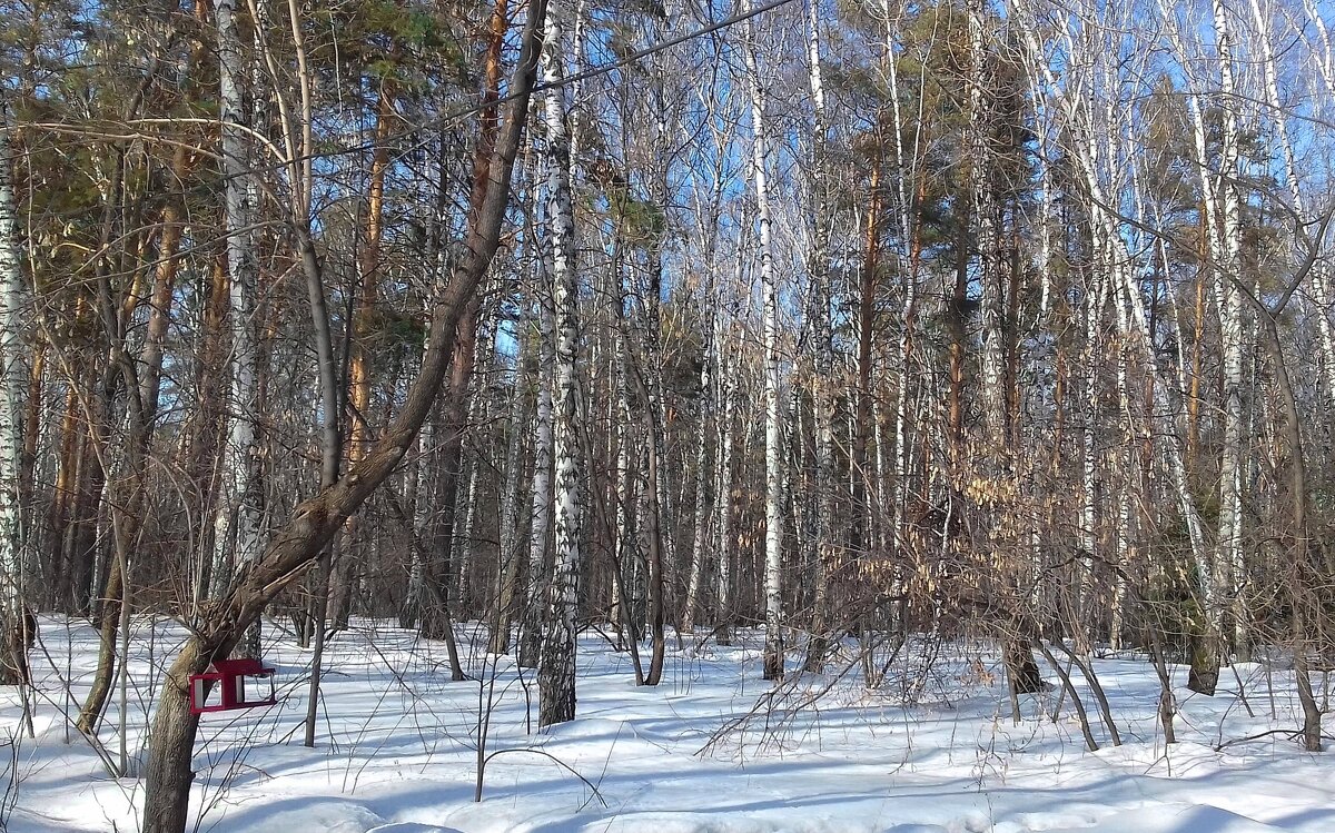 В городском парке - Галина Нестратова