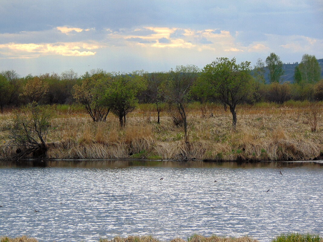 Месяц май. - nadyasilyuk Вознюк