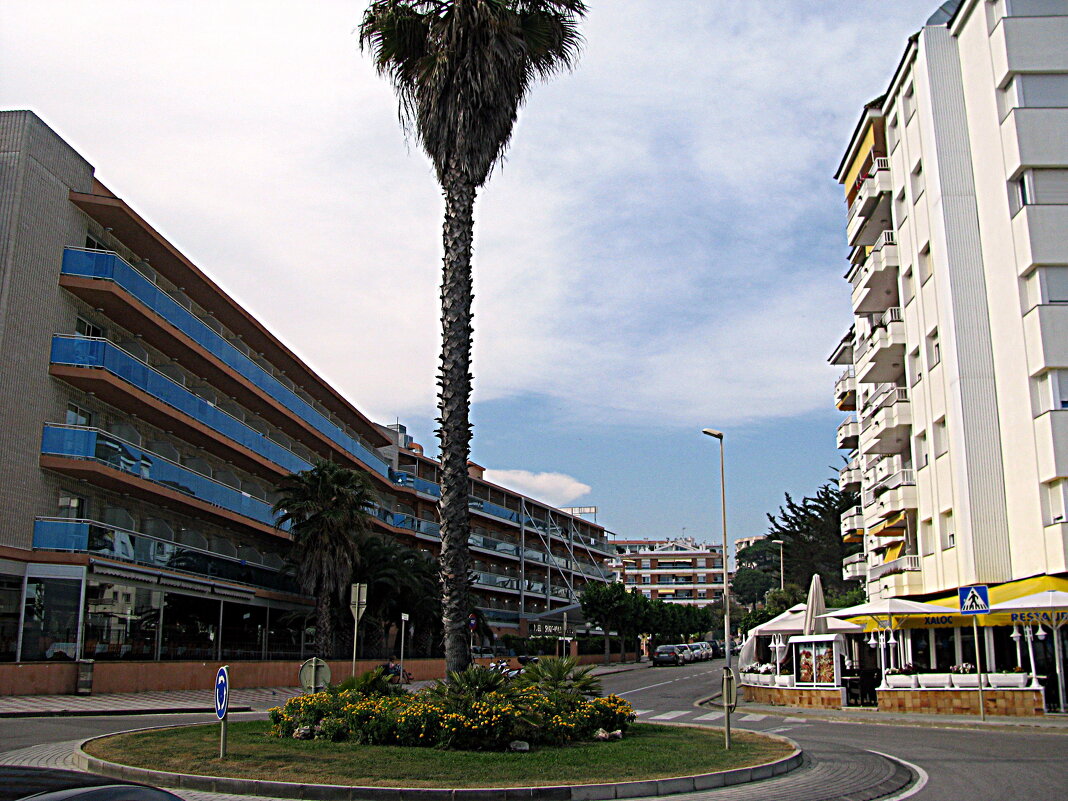 Барселона. - Владимир Драгунский