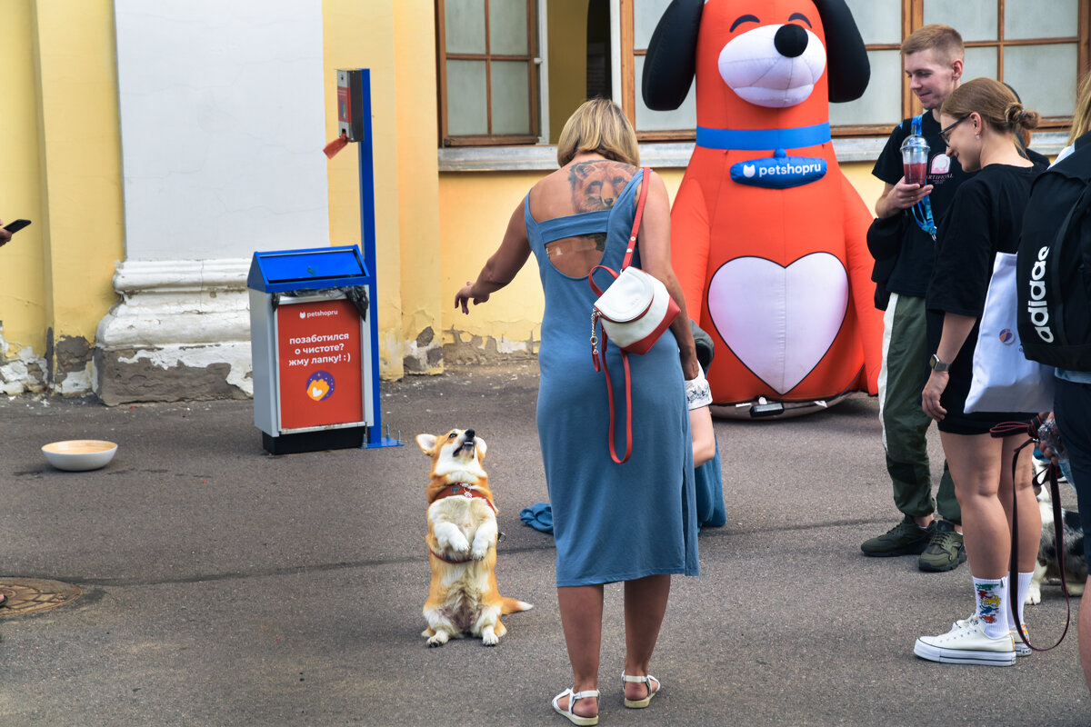 Тату - Валерий Пославский