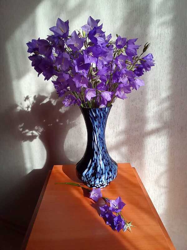 Колокольчики - Владимир Гришин