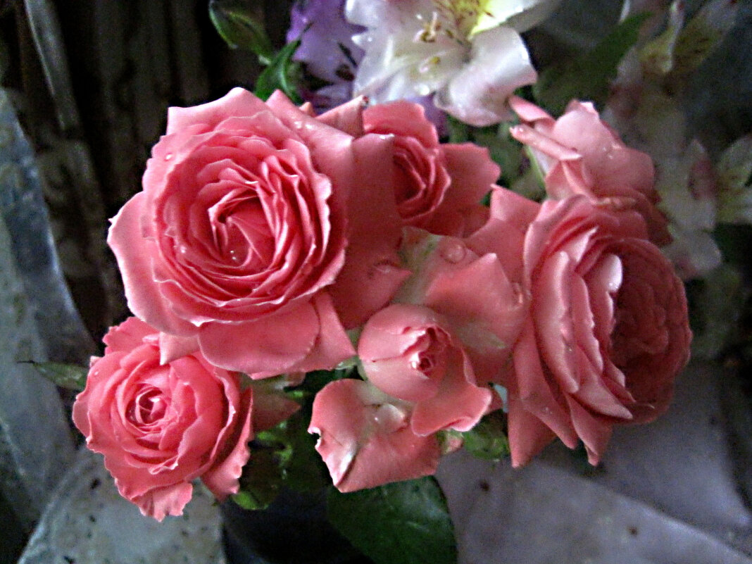 Букет роз - Елена Семигина