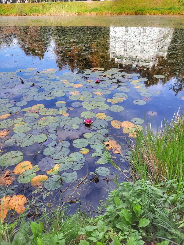 Отражение - Irene Irene