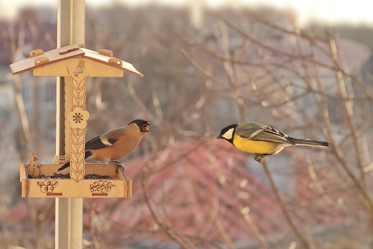 И вам доброе утро.)) - Татьяна Бравая