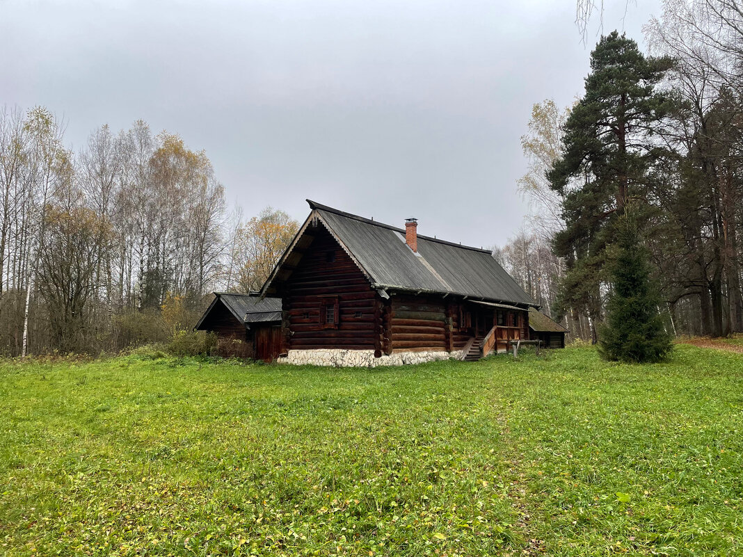 Изба Кокориных в Истре - Андрей Л. В.