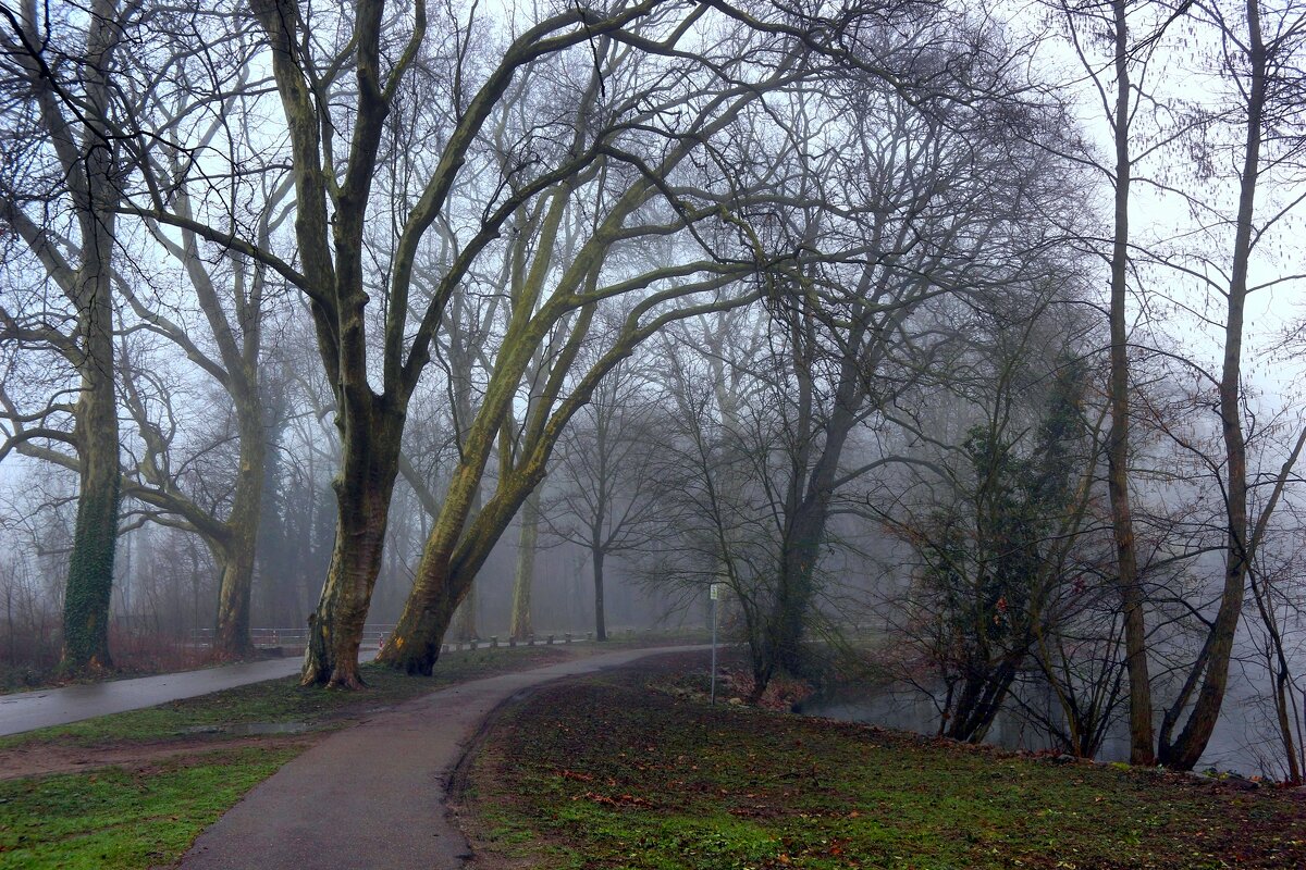 Туманные дорожки - Юрий. Шмаков