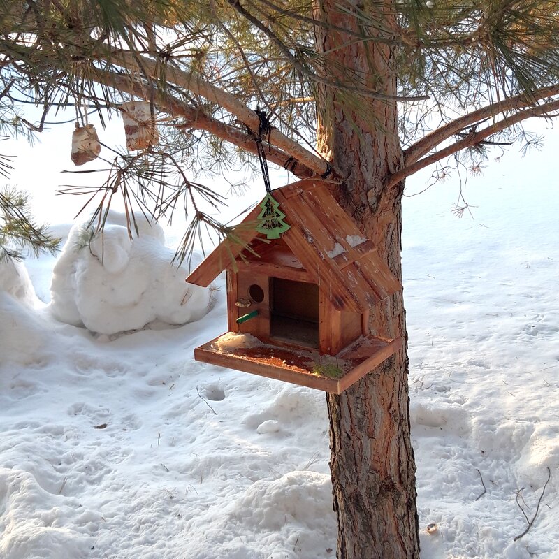 мой город - Венера Чуйкова