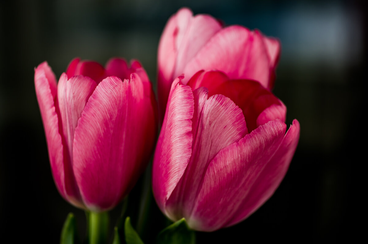 Весеннее настроение... - Sergey (Apg)