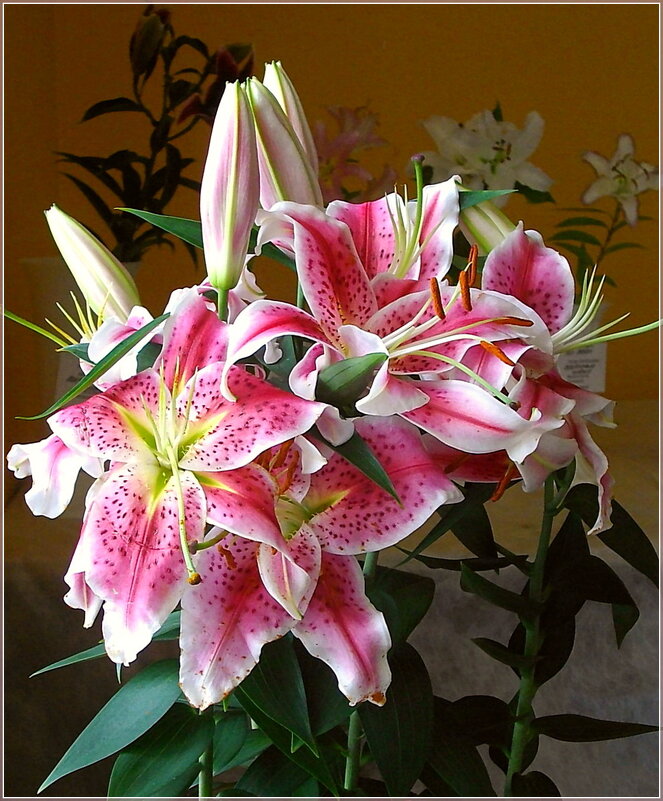 Букетик лилий - Лия ☼