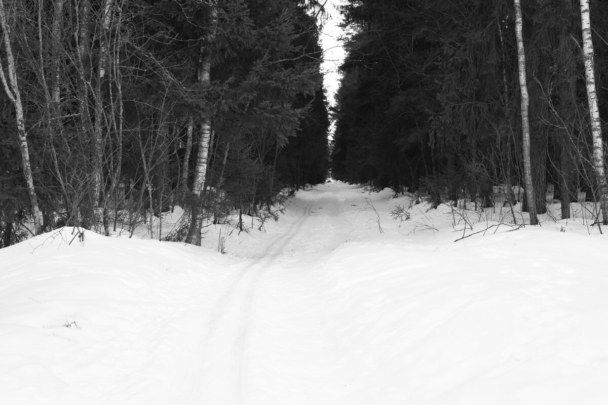 Мечты о ч/б Лейке 57. - Михаил Елочкин