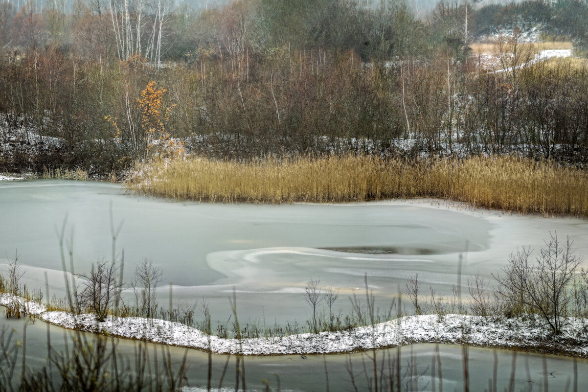 Дали - sorovey Sol