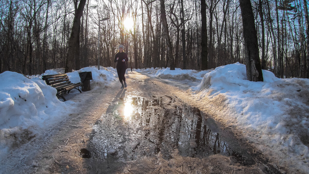 Прогулки в Весеннем Парке - юрий поляков