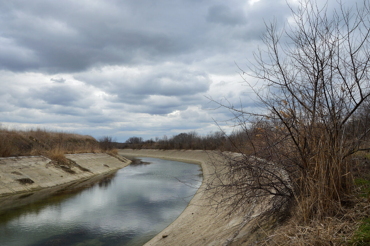 Весенний хмурый день.. - Надежда Куркина 