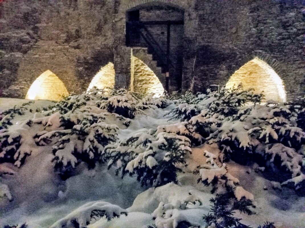 Вечерняя прогулка - Veera V