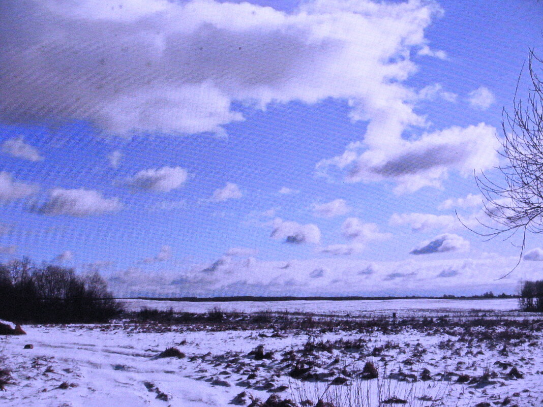 Мартовский денёк - Людмила Смородинская