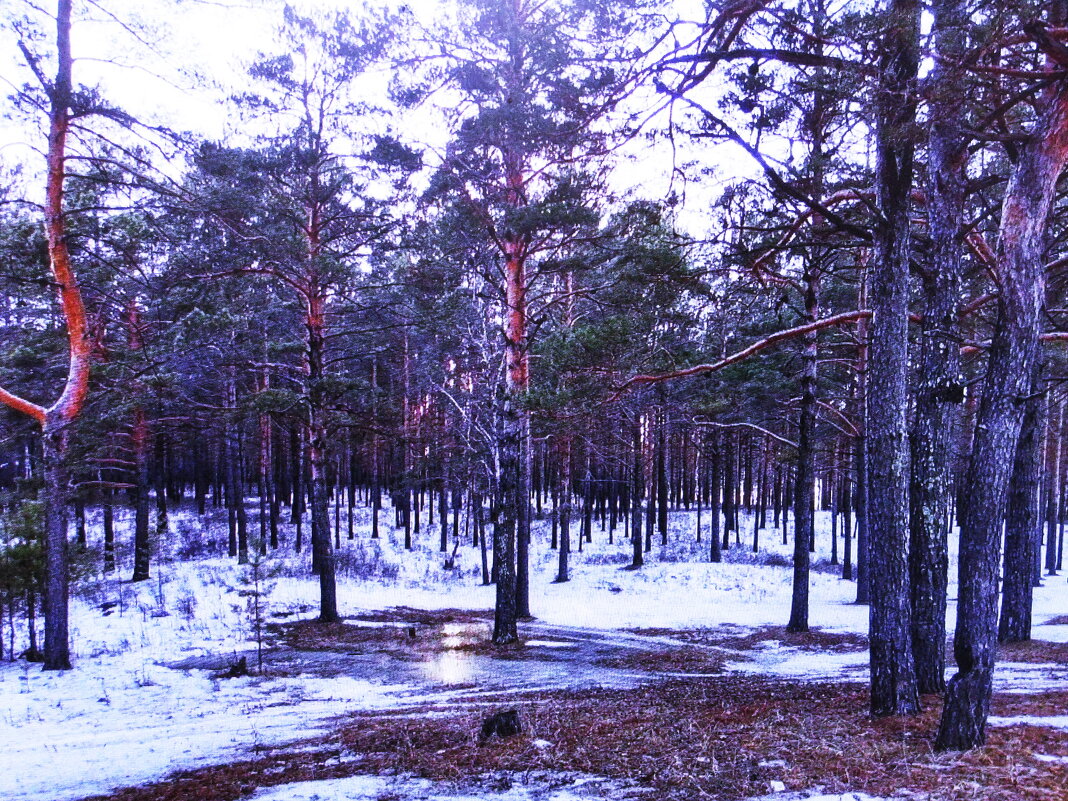 Весна идёт, весне дорогу - Людмила Смородинская
