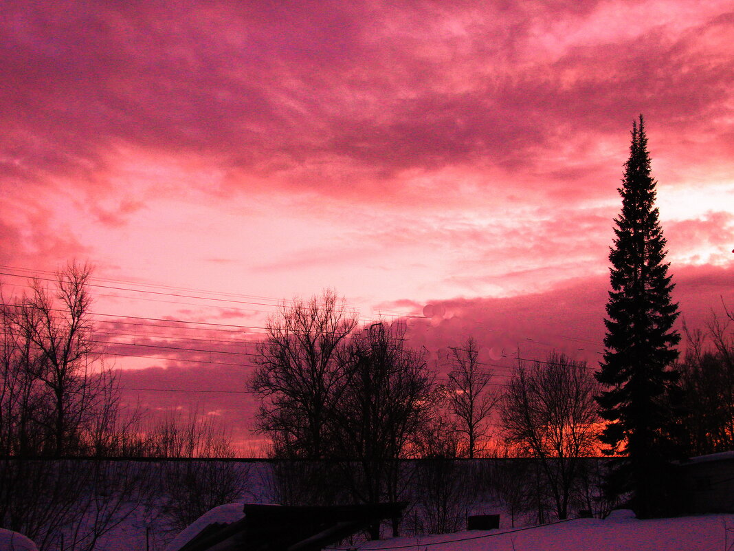 Яркий вечер - Людмила Смородинская