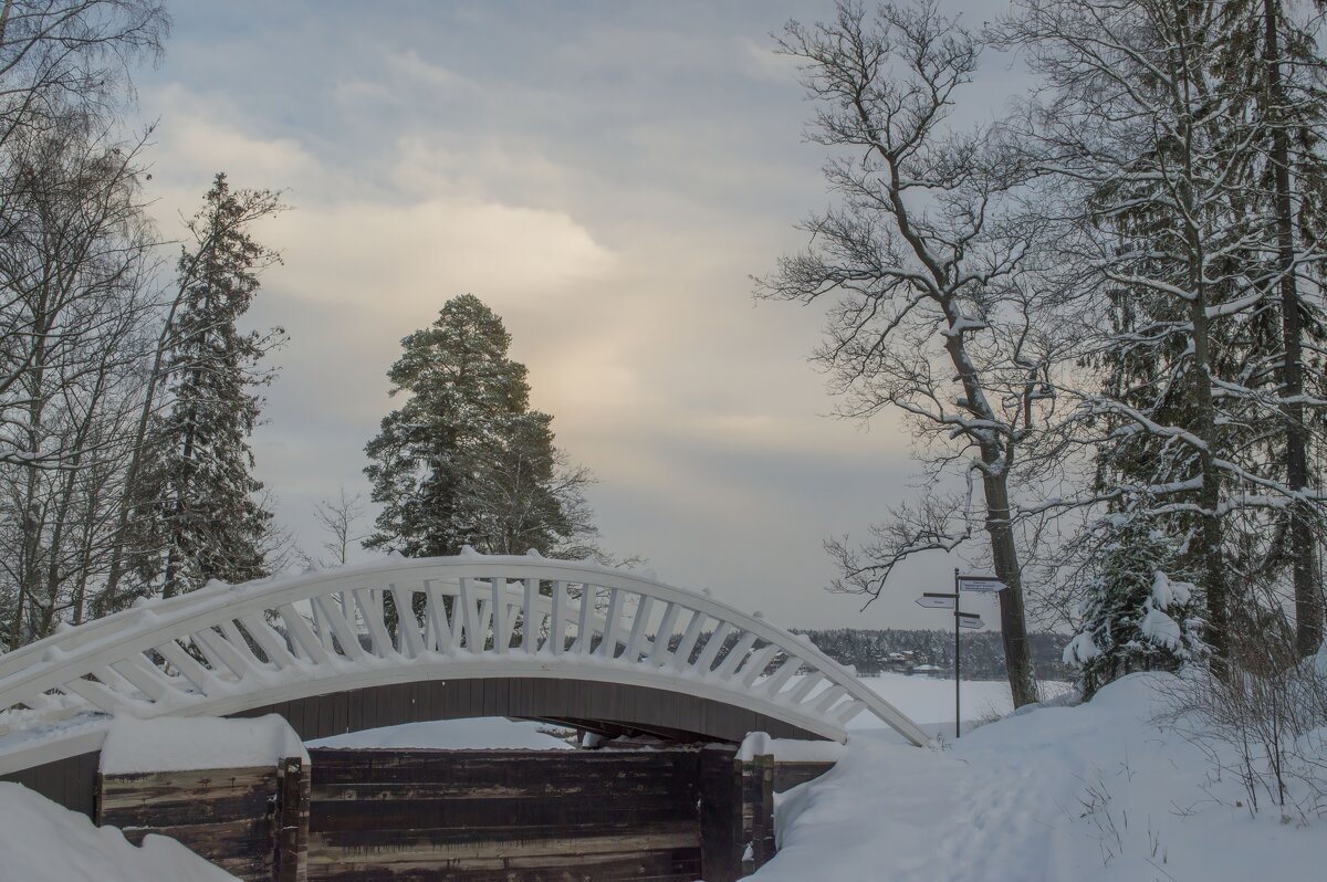 Зимний мостик....... - Юрий Цыплятников