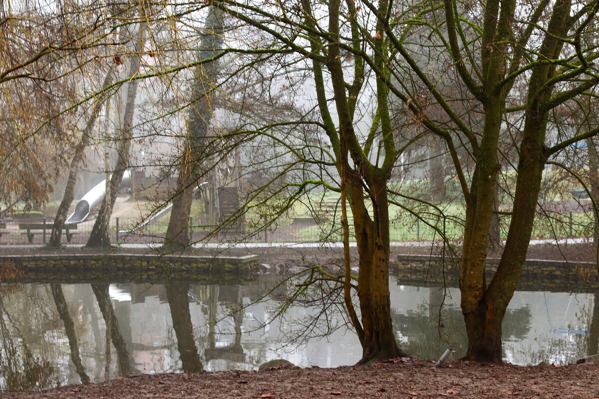 Туманный день - Юрий. Шмаков