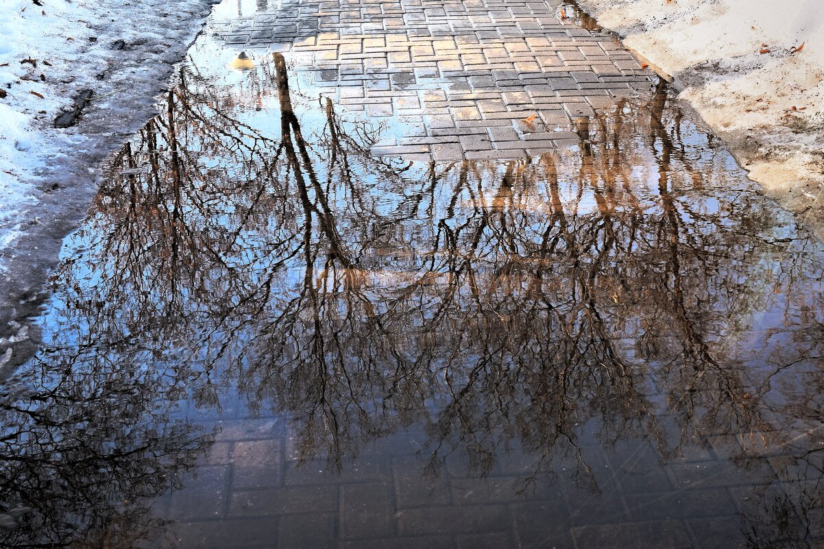 Иду, шагаю по весне под звук капели. - Татьяна Помогалова